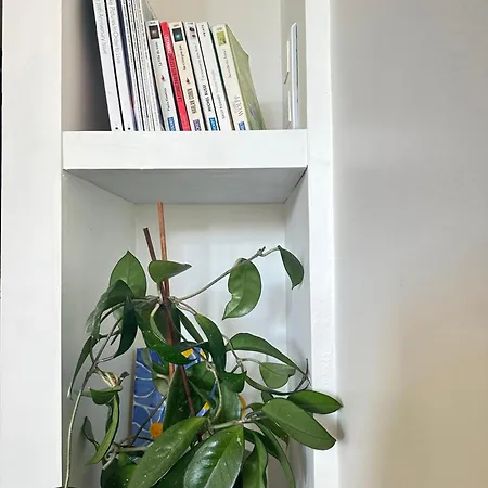 La Convivium * Rouen